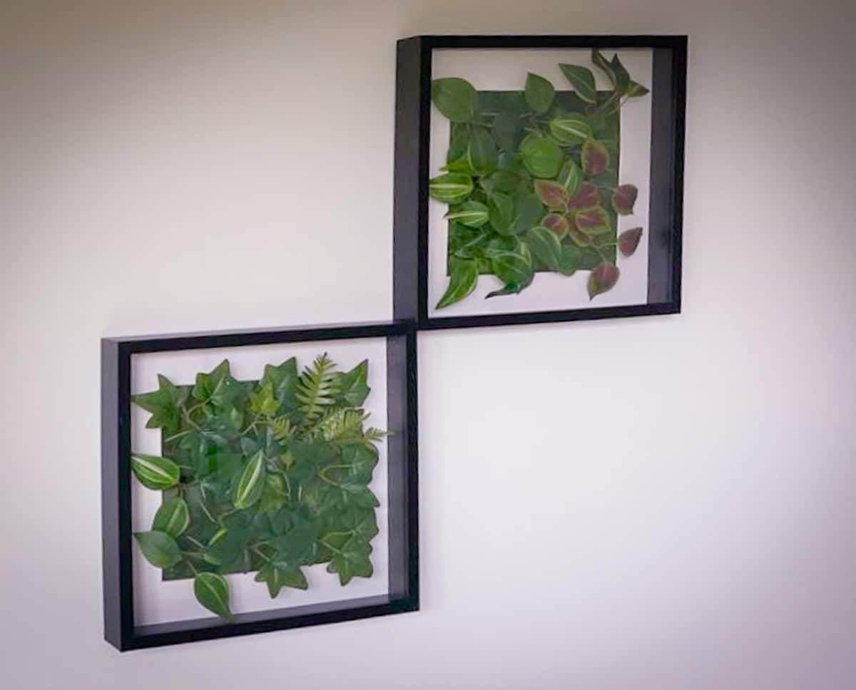 Planted wall art inside the converted container retreat